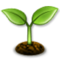 Seedling emoji on Samsung